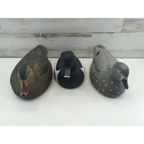 Greenhead Gear Duck Decoy Lot Of 3 Ringneck Drake Mallard Hen Wood Duck Hen - Picture 1 of 9